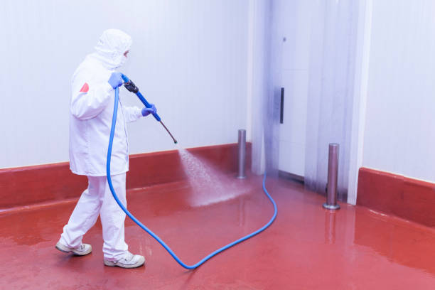  Lynden, WA Pressure Washing Pros
